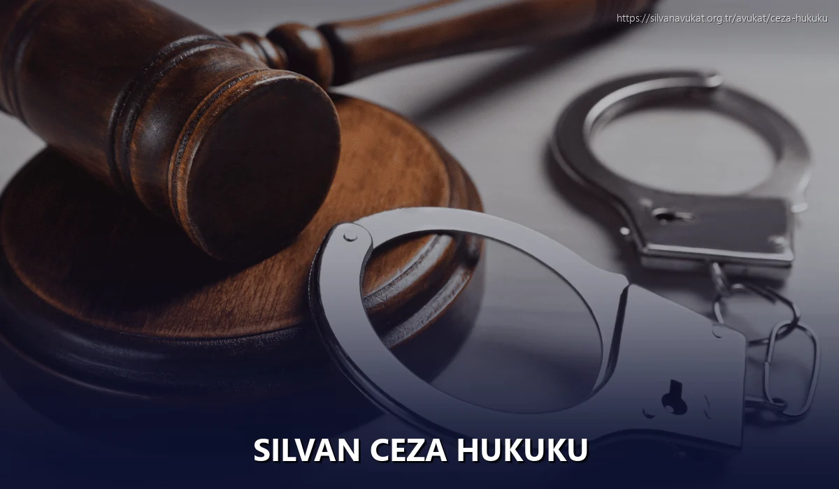 Silvan Ceza Hukuku